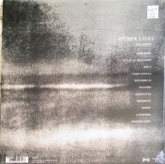 Other Lives - Tamer Animals - LP