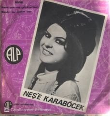Neşe Karaböcek Bana Çok Mu Görüyorsun 45lik