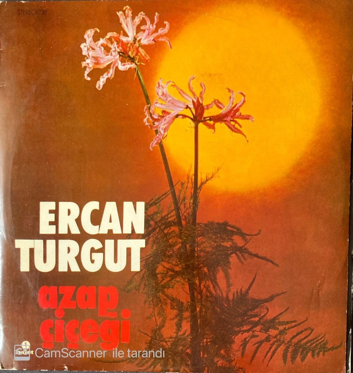 Ercan Turgut - Azap Çiçeği LP