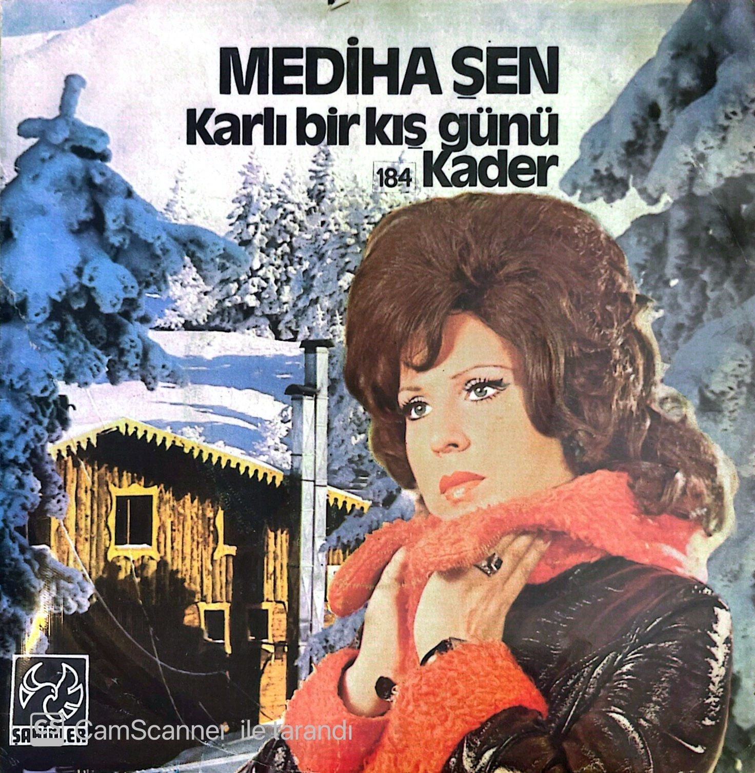 Mediha Şen - Karlı Bir Kış Günü 45lik