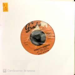 Zeki Müren / Viraneye Dönmüş 45'lik