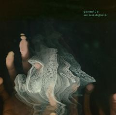 Gevende - Sen Balık Değilsin ki (45 RPM) LP