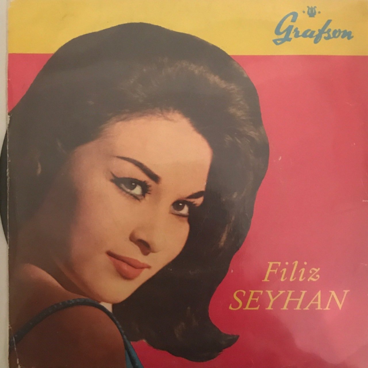 Filiz Seyhan Sensiz Geçen Günlerim 45lik