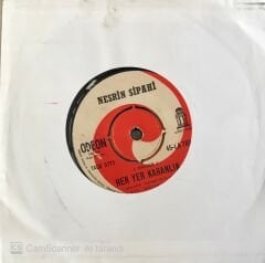 Nesrin Sipahi - Derbeder 45lik