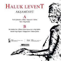 Haluk Levent - Akşam Üstü LP