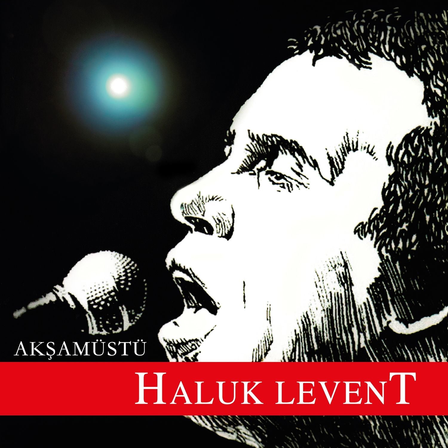 Haluk Levent - Akşam Üstü LP