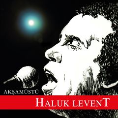 Haluk Levent - Akşam Üstü LP