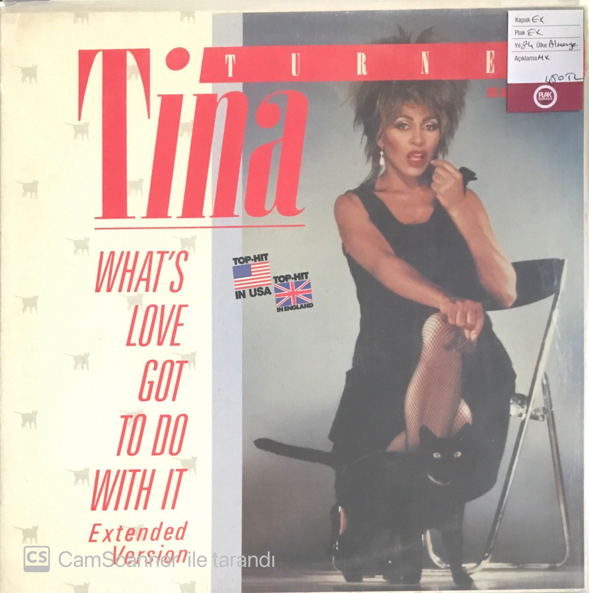 Tina Turner - What's Love Got To Do With It MAXİ