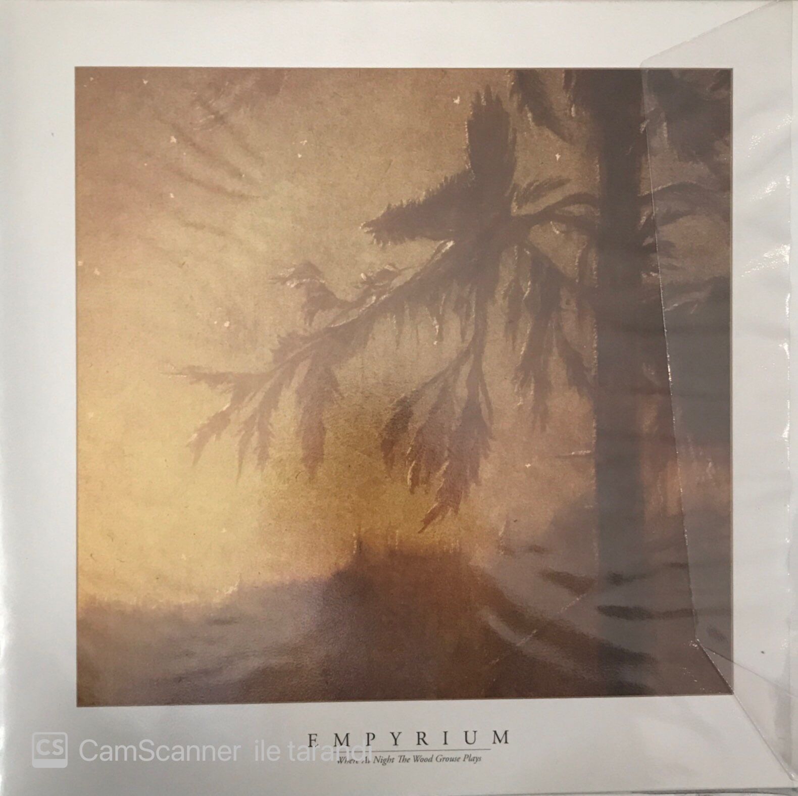 Empyrium - Where At Night The Wood Grouse Plays LP