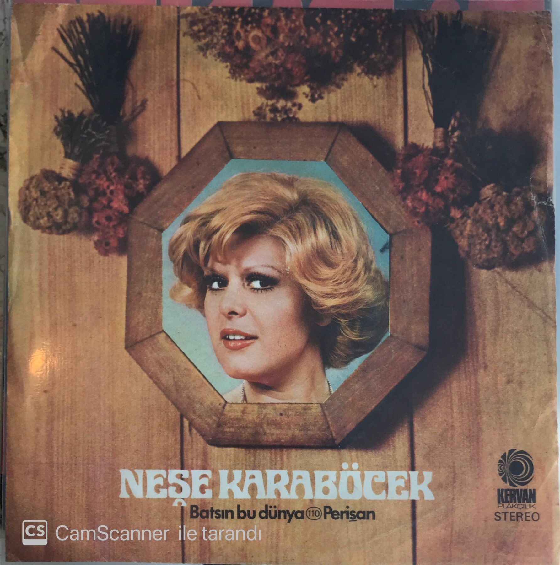 Neşe Karaböcek Batsın Bu Dünya 45lik