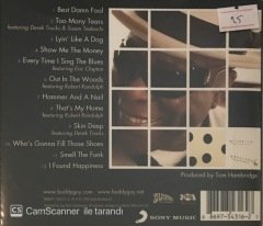 Buddy Guy Skin Deep CD