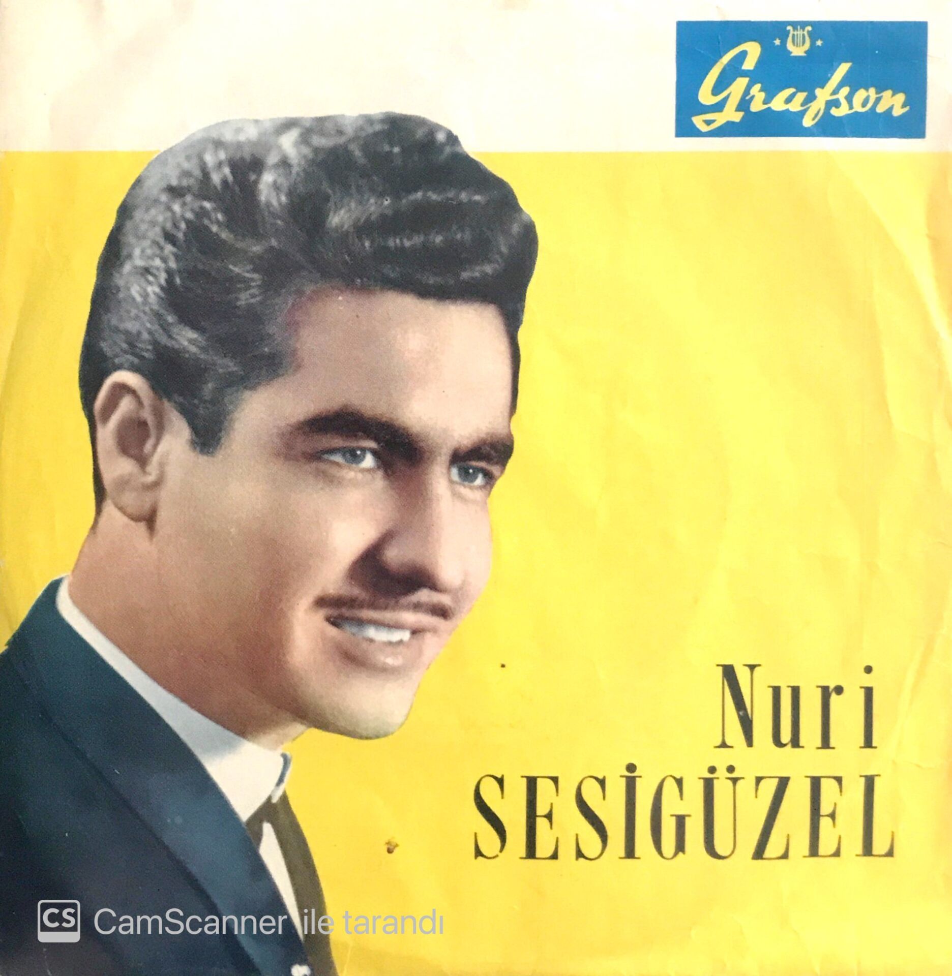 Nuri Sesigüzel / Yeşil Başlı Telli Turnam 45'lik