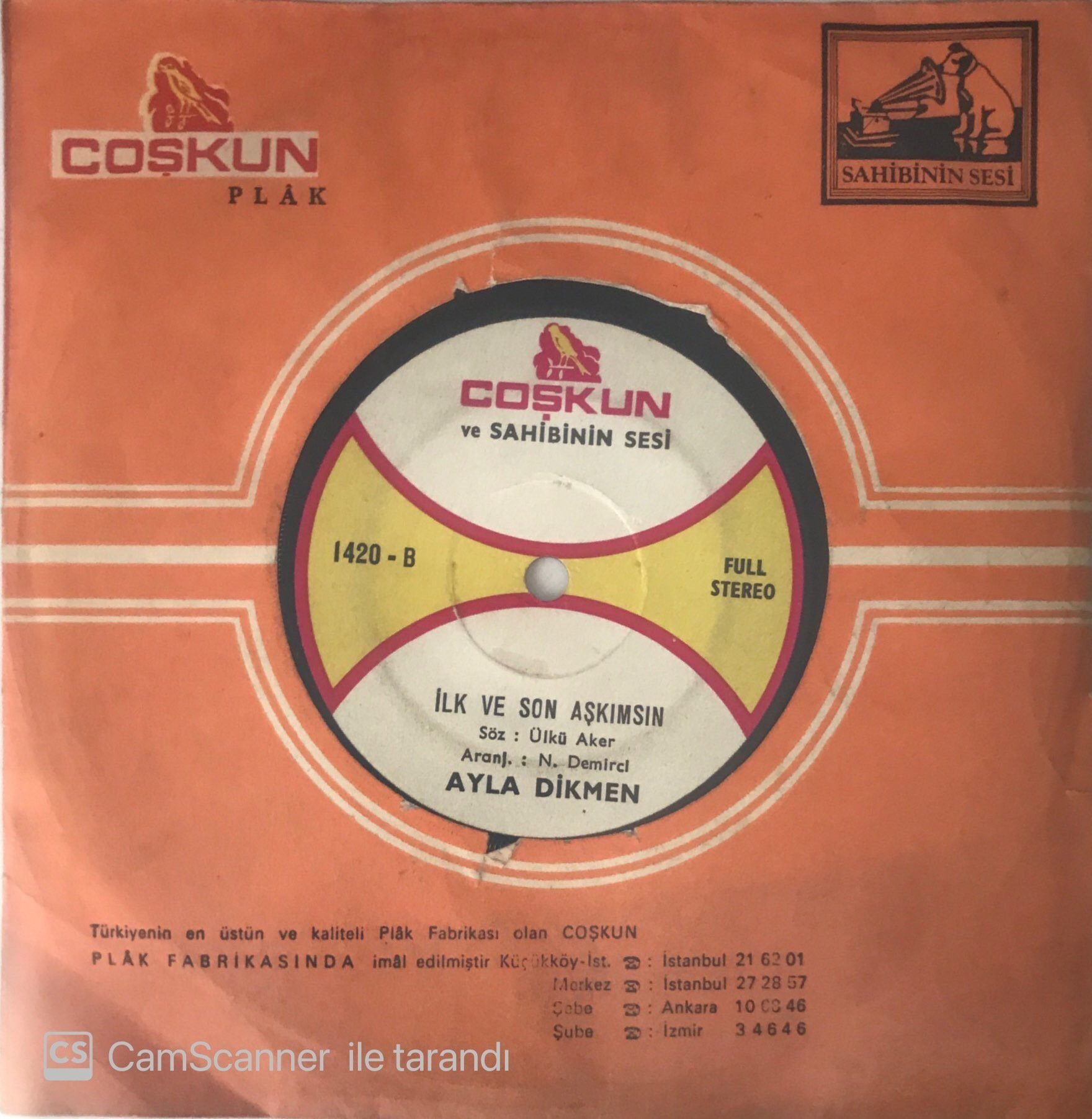 Ayla Dikmen İlk ve Son Aşkımsın 45lik