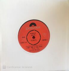 James Brown - I Got You 45lik
