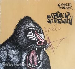 Charlie Hunter - Baboon Strength - CD