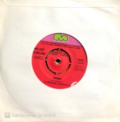 Yurdaer Doğulu / Gözyaşı 45'lik