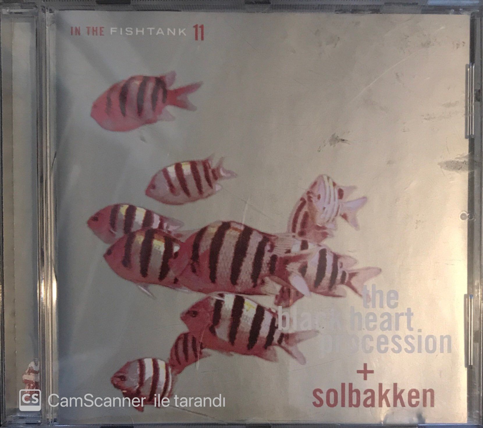 The Black Heart Procession + Solbakken - In The Fish Tank 11  CD