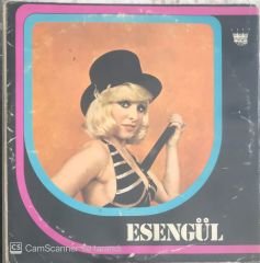 Esengül Ay Değil Gün Değil LP