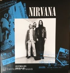 Nirvana Nevermind 30th Anniversary Edition 8 LP Box Set