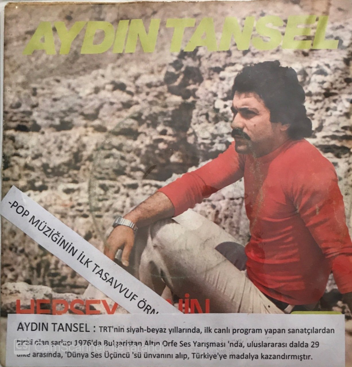 Aydın Tansel Sevilmeyi Unutmuşken 45lik