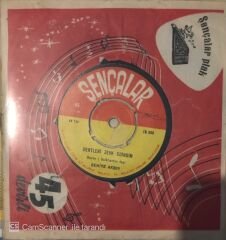 Behiye Aksoy Dertleri Zevk Edindim 45 lik