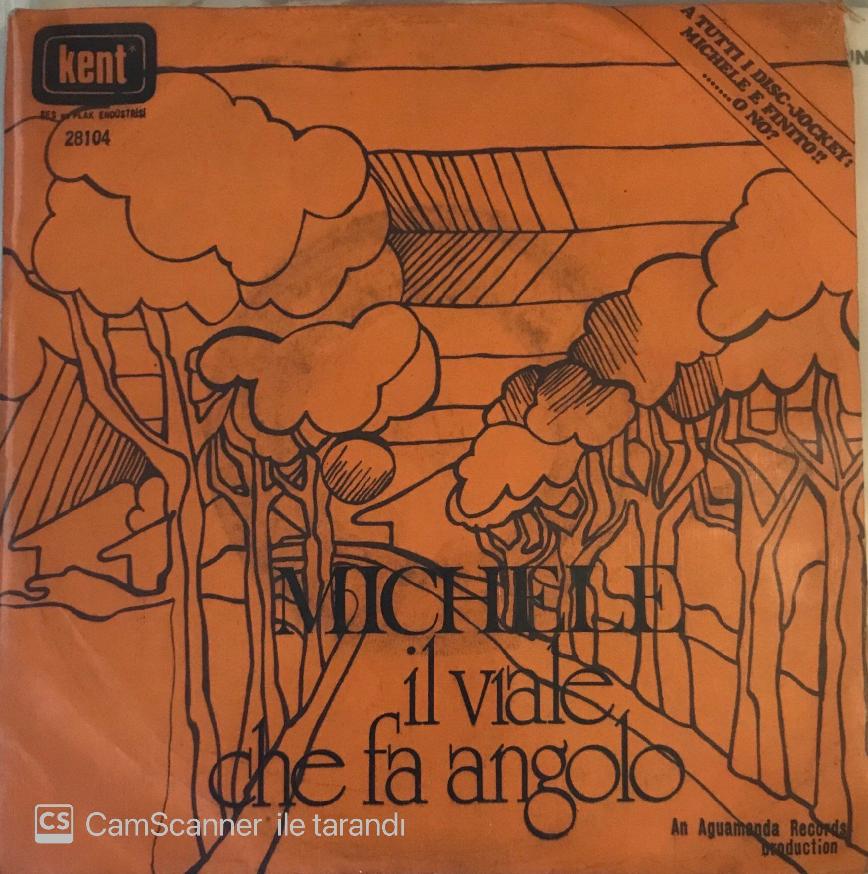 Mıchele - Il Vıale Che Fa Angolo 45lik