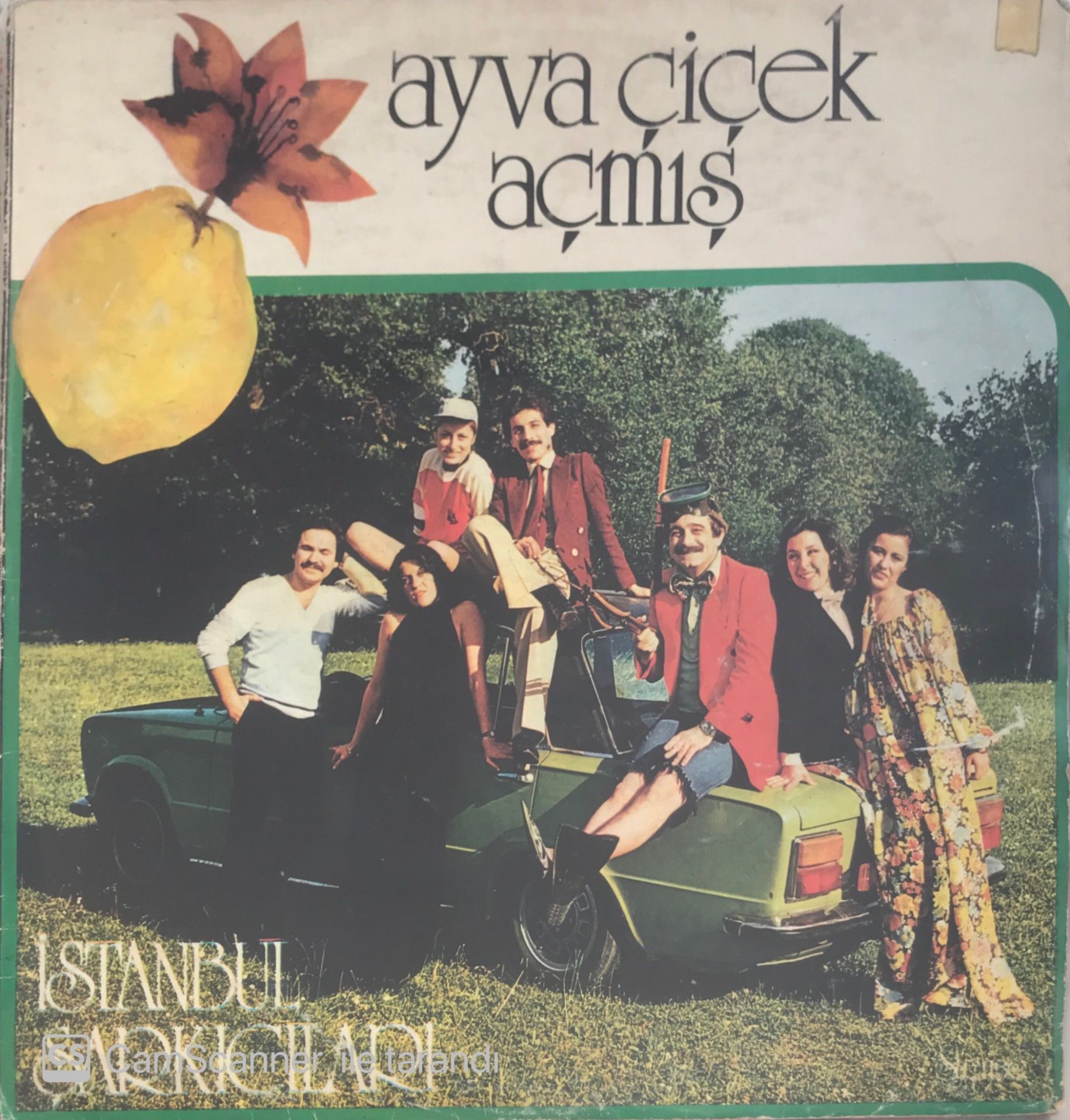 İstanbul Şarkıcıları - Ayva Çiçek Açmış LP