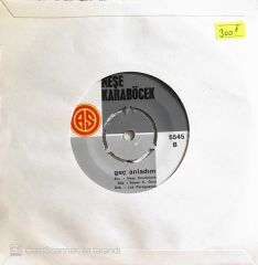 Neşe Karaböcek - Geçmiş Ola/Geç Anladım - 45'lik