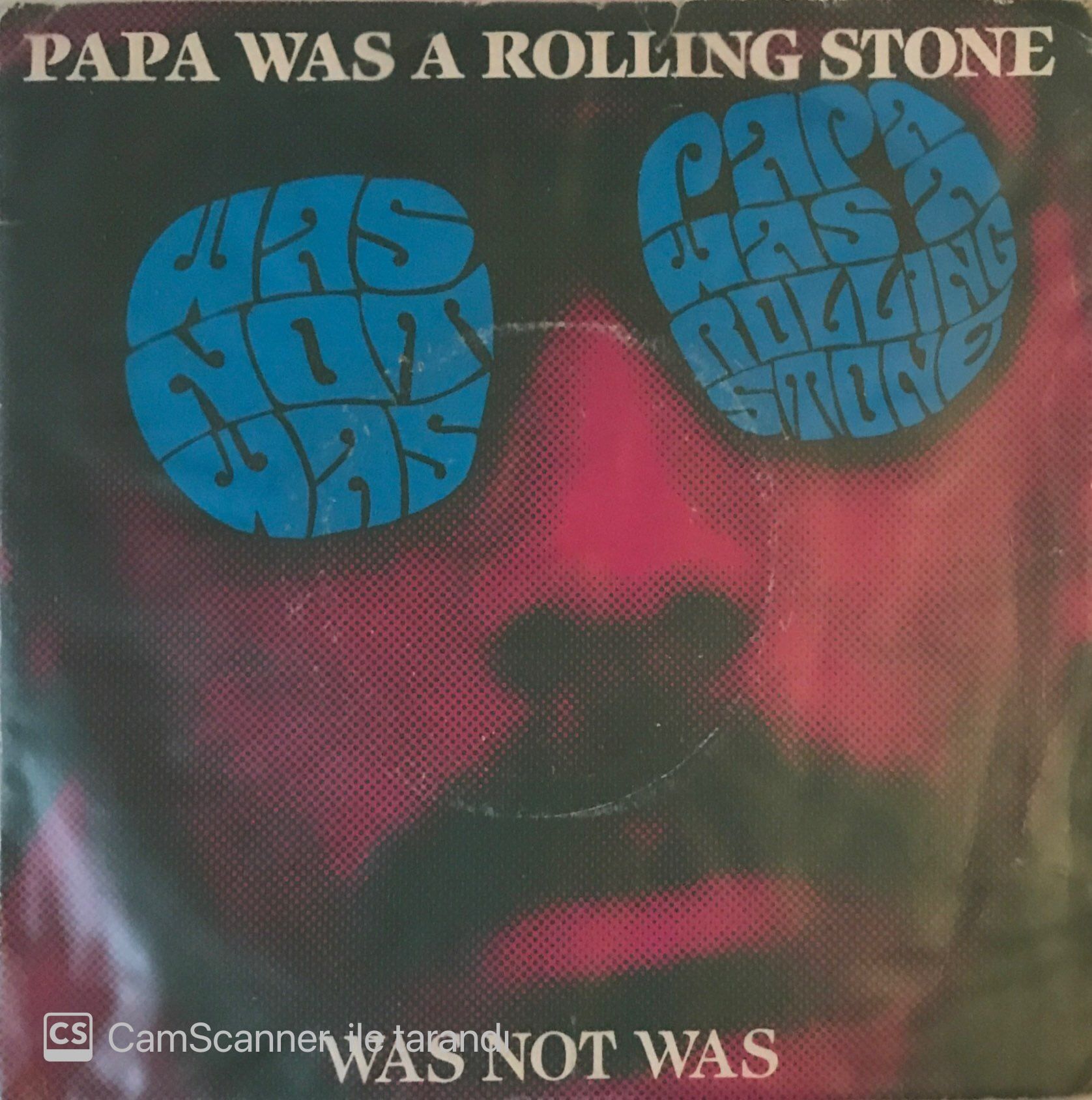 Was Not Was - Papa Was A Rollıng Stone 45lik