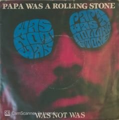 Was Not Was - Papa Was A Rollıng Stone 45lik