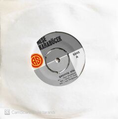 Neşe Karaböcek - Geçmiş Ola/Geç Anladım - 45'lik