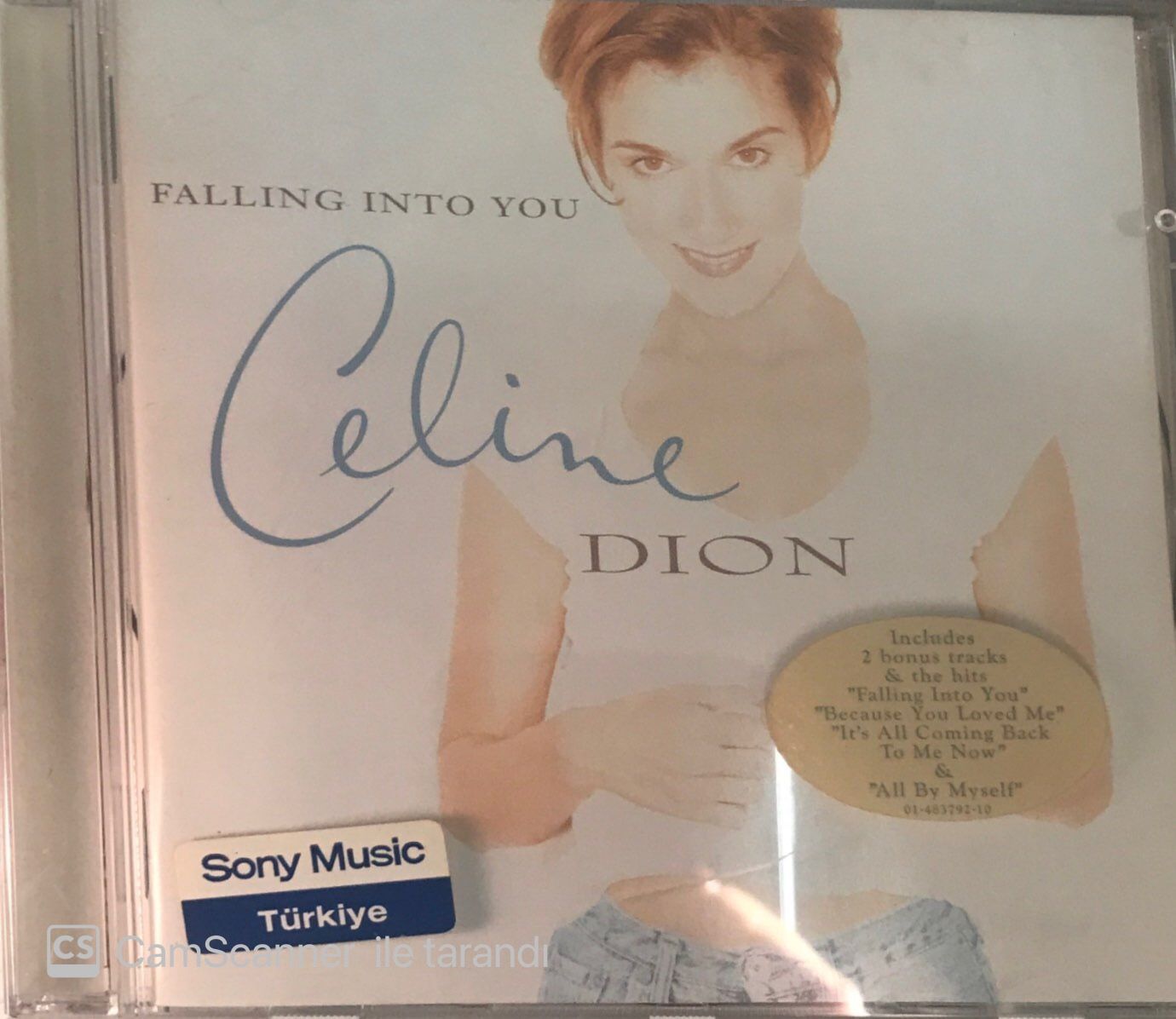 Celine Dion Falling Into You CD