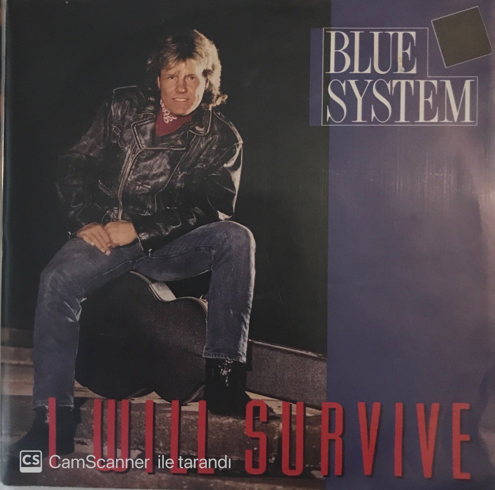 Blue System - I Will Survive 45lik