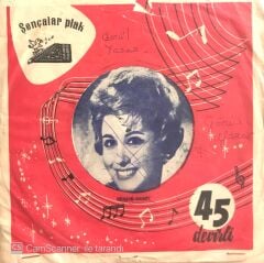 Behiye Aksoy / İçin İçin Yanıyor 45'lik