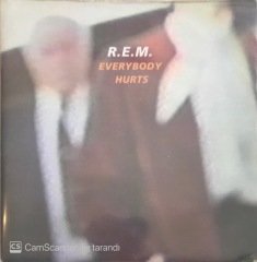 R.E.M. Everybody Hurts 45lik