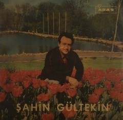 Şahin Gültekin Keklik 45 lik