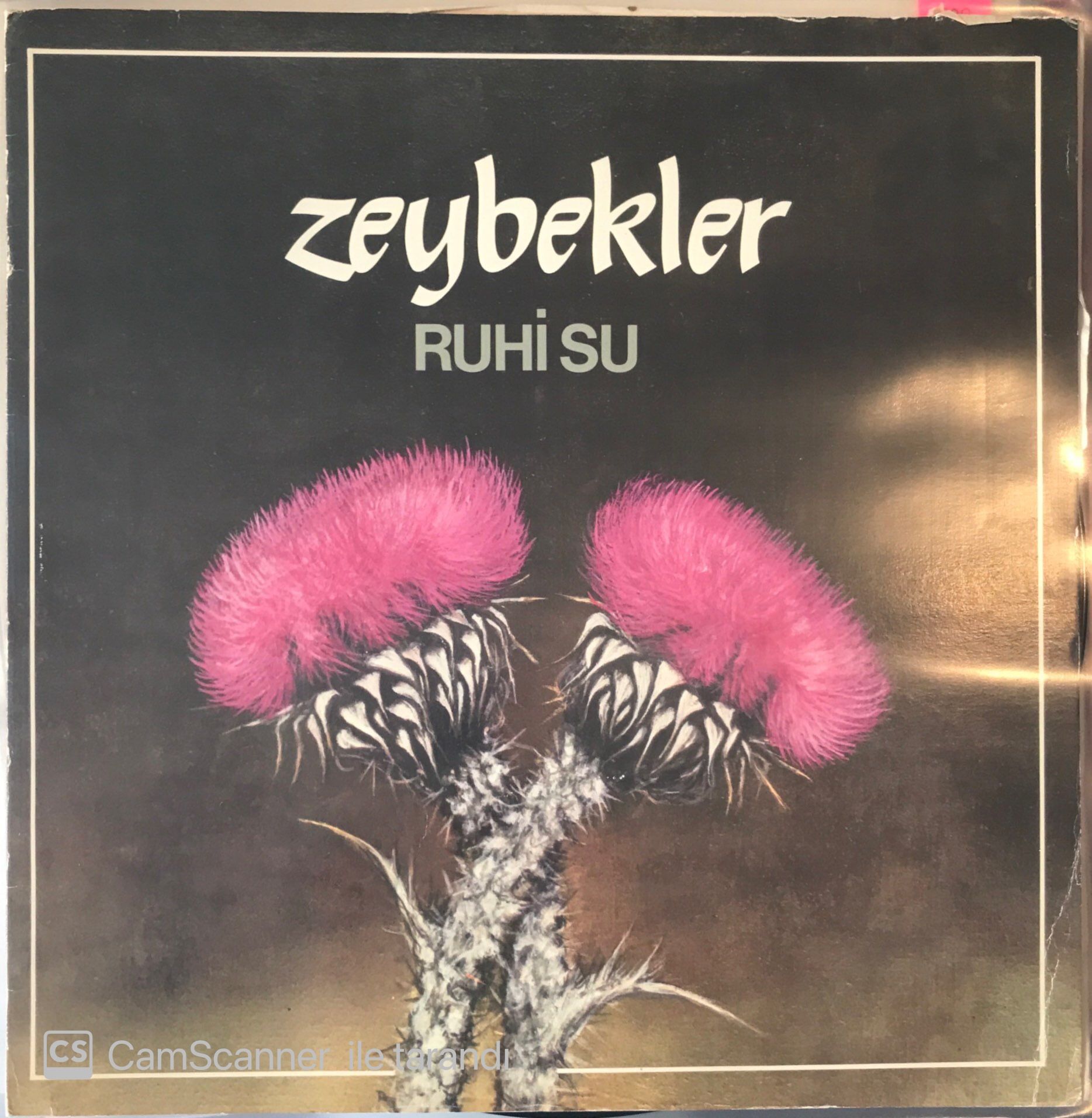 Ruhi Su Zeybekler LP