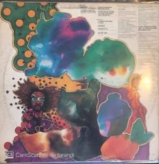 Fuzzy Haskins - Radio Active LP