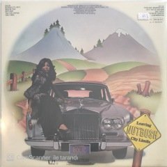 Ike & Tina Turner Nutbush City Limits LP