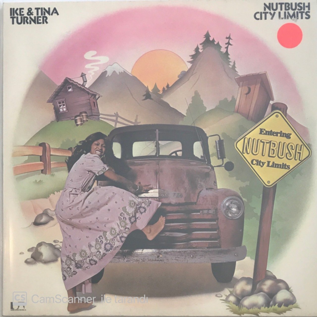 Ike & Tina Turner Nutbush City Limits LP