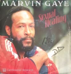 Marvin Gaye - Sexual Healing - 45'lik