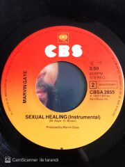Marvin Gaye - Sexual Healing - 45'lik