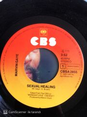 Marvin Gaye - Sexual Healing - 45'lik