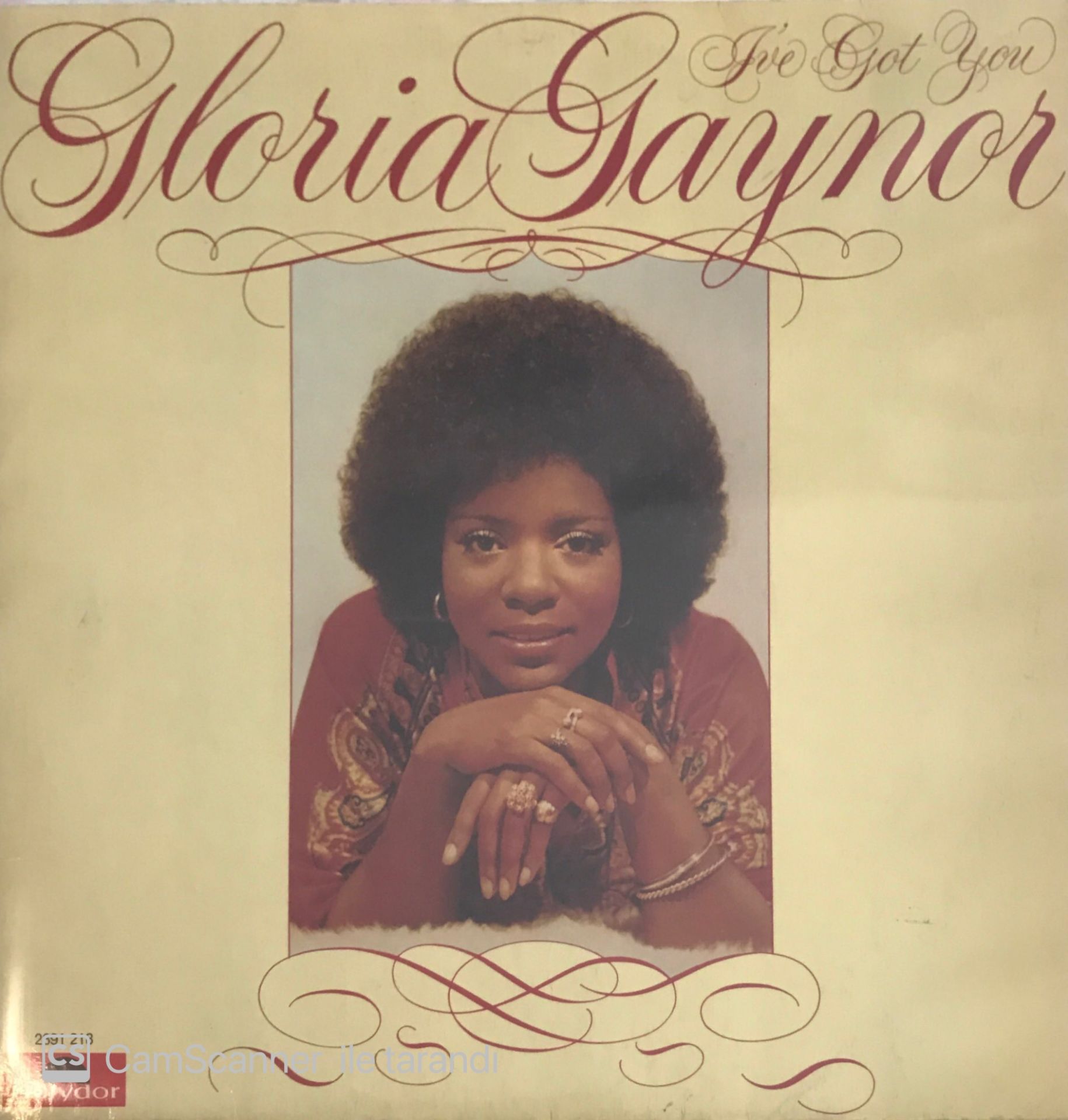 Gloria Gaynor I've Got You LP