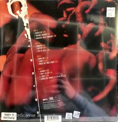 Akon Trouble LP