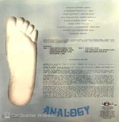 Analogy (LP + 45LİK, Unofficial) LP
