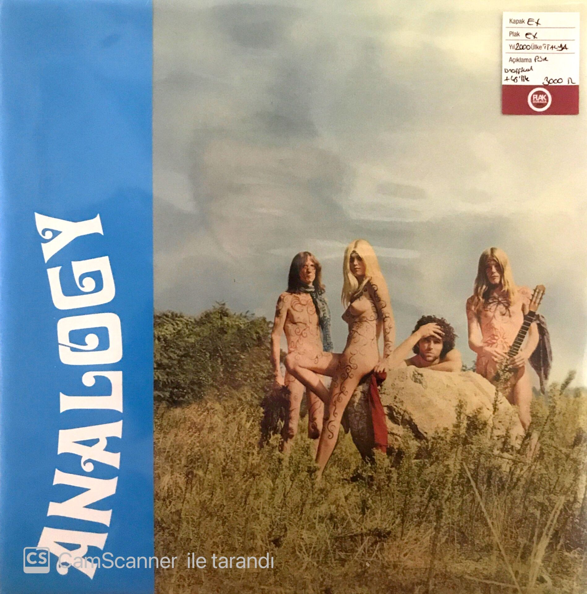 Analogy (LP + 45LİK, Unofficial) LP