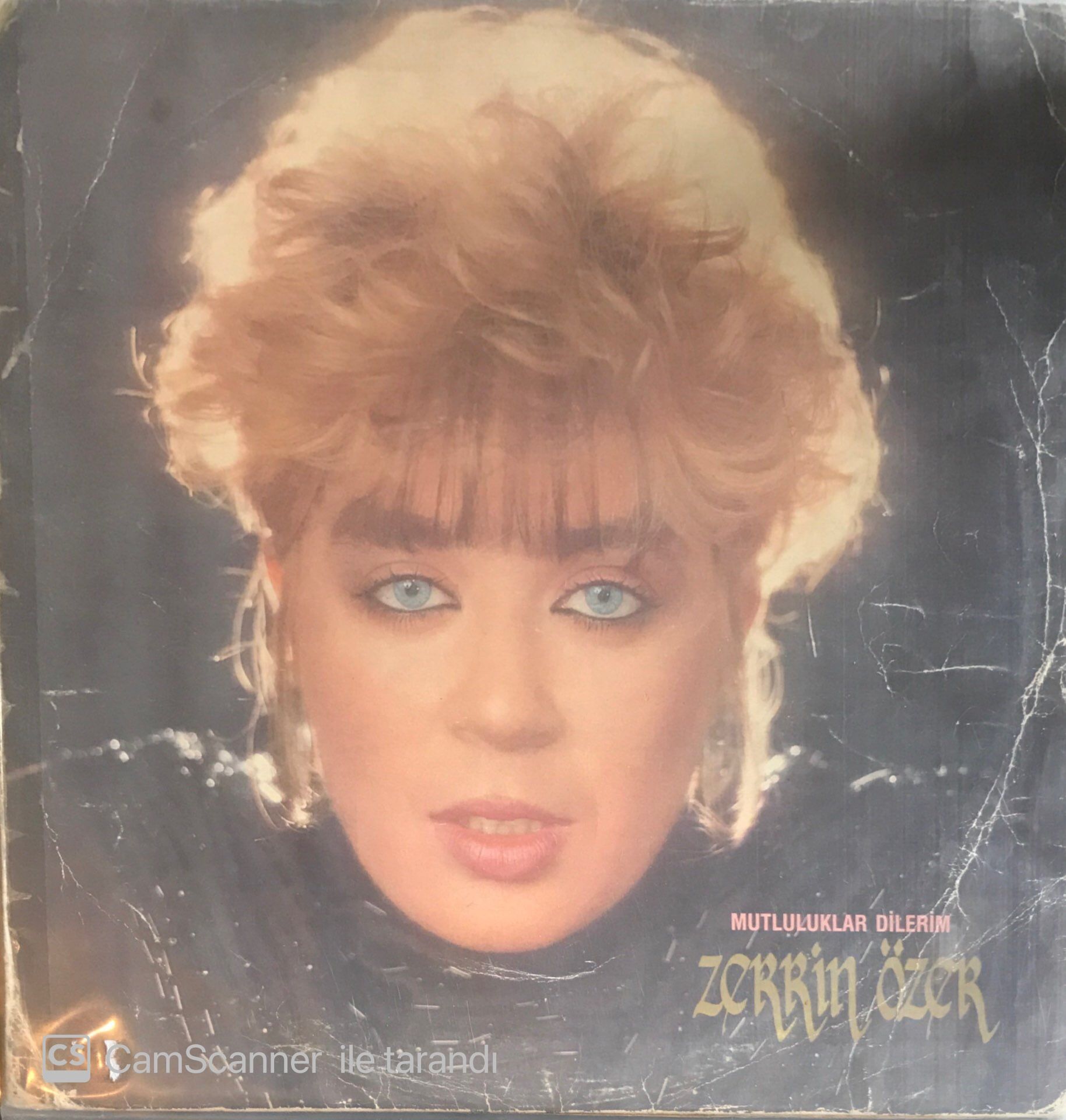 Zerrin Özer - Mutluluklar Dilerim LP