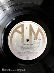 Strawbs / Grave New World LP