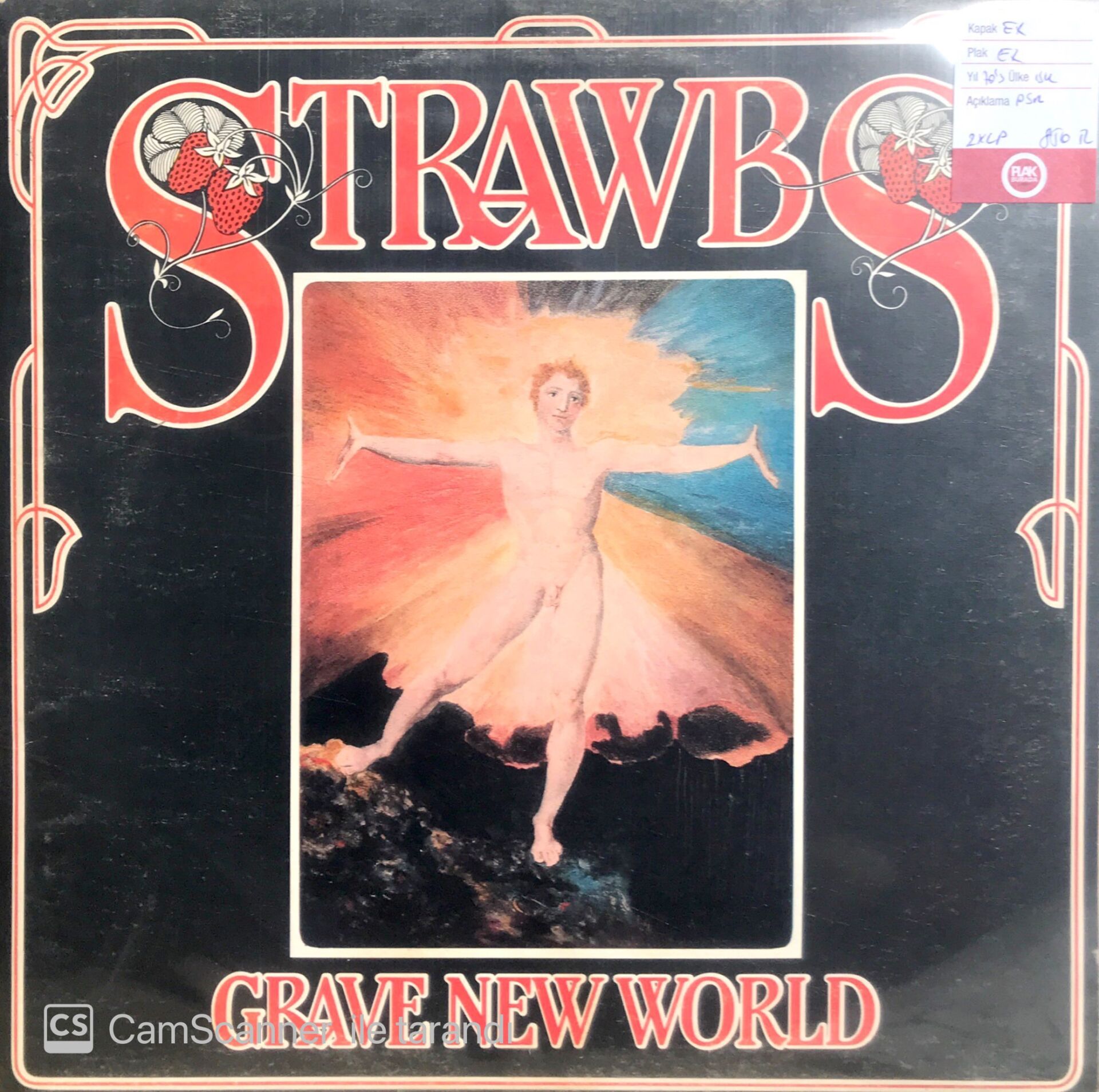 Strawbs / Grave New World LP